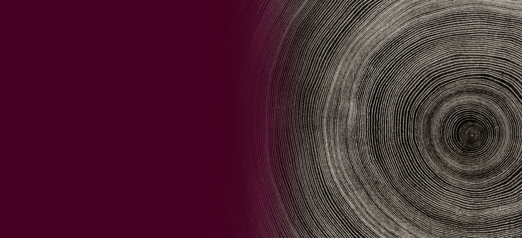 A cross-section showing the rings of a tree trunk
